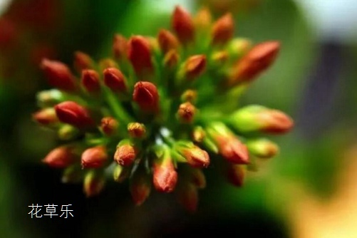 A国产浮力影院第一页永久地址，未知的探索，揭秘生活中的神秘元素