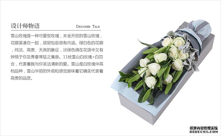 僧欲动漫——，禅意与欲望的交织，一场心灵的激荡之旅