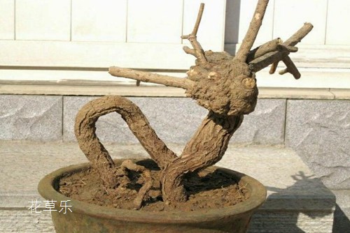 法式餐厅国产美女被爽到高潮激情免费a片创新驱动，持续优化